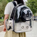 CarryCat™️-הדרך הנוחה והבטוחה לקחת את החתול לכל מקום. - תמונה 3